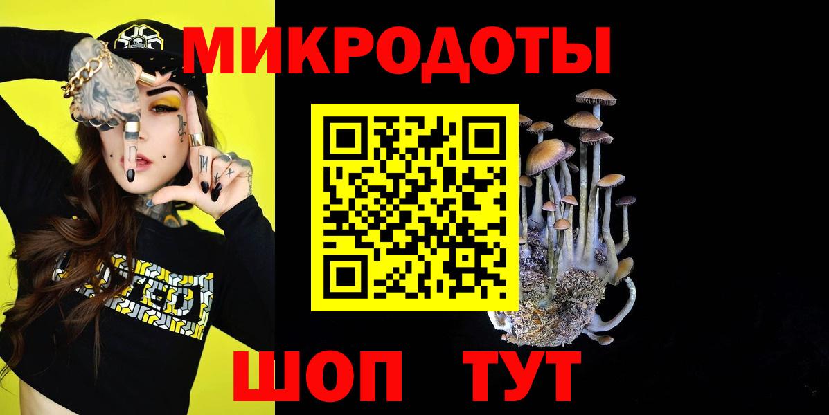 Псилоцибиновые грибы прущие грибы Владивосток